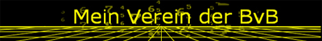 Mein Verein der BVB